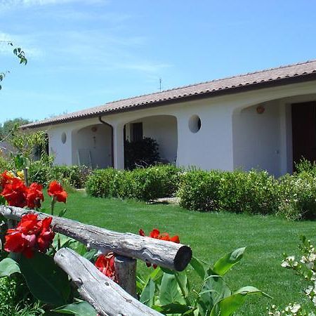 Agriturismo Mulinu Betzu San Vero Milis Dış mekan fotoğraf